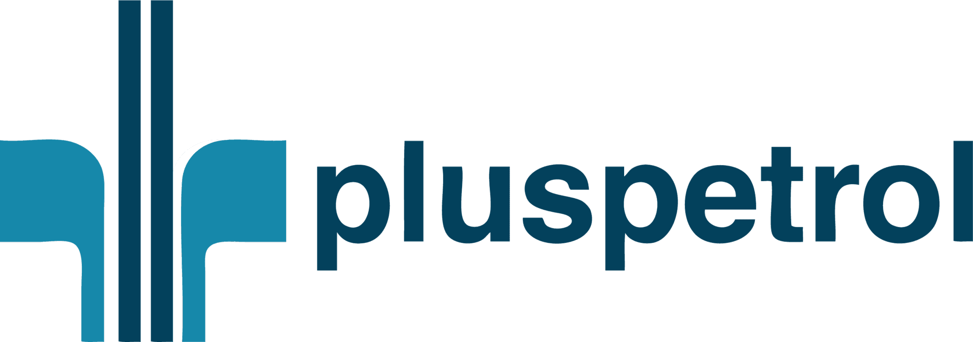 Pluspetrol Seeklogo